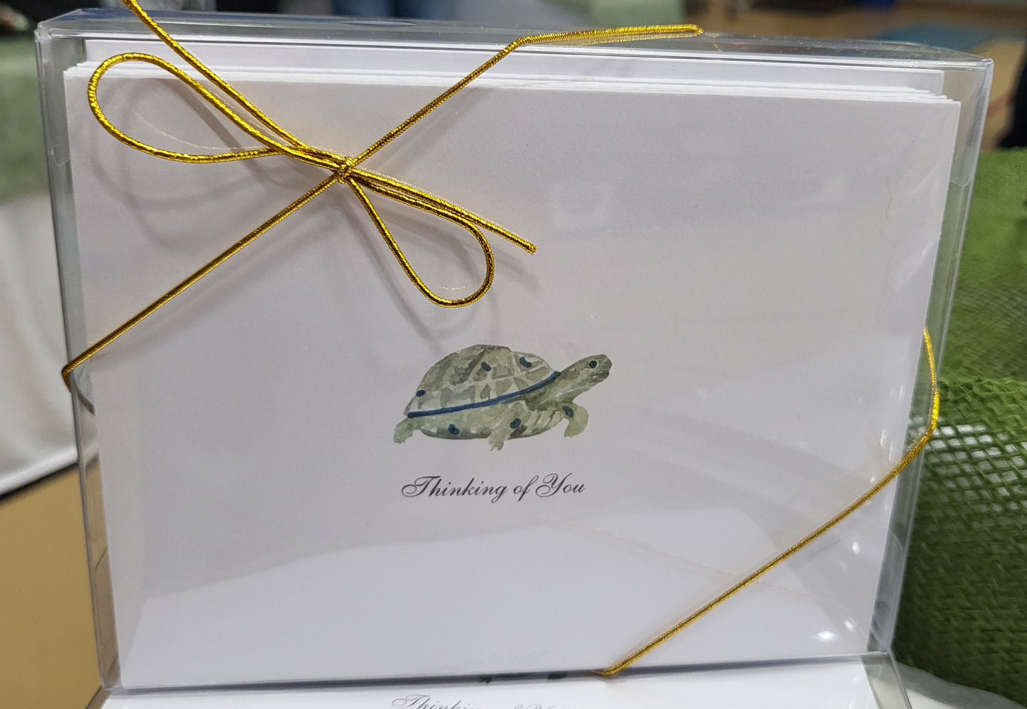 Variety Turtle Notecards